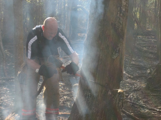 A Liberty Road firefighter driving wedges to fell a burning tree